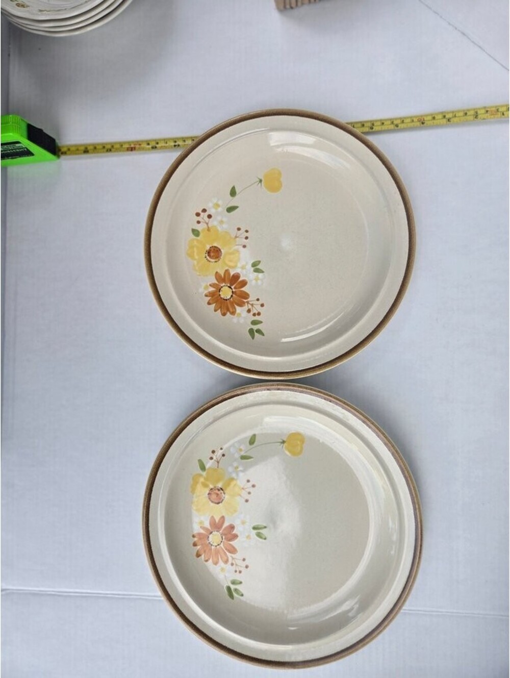 Autumn Glory 2 Dinner Plates